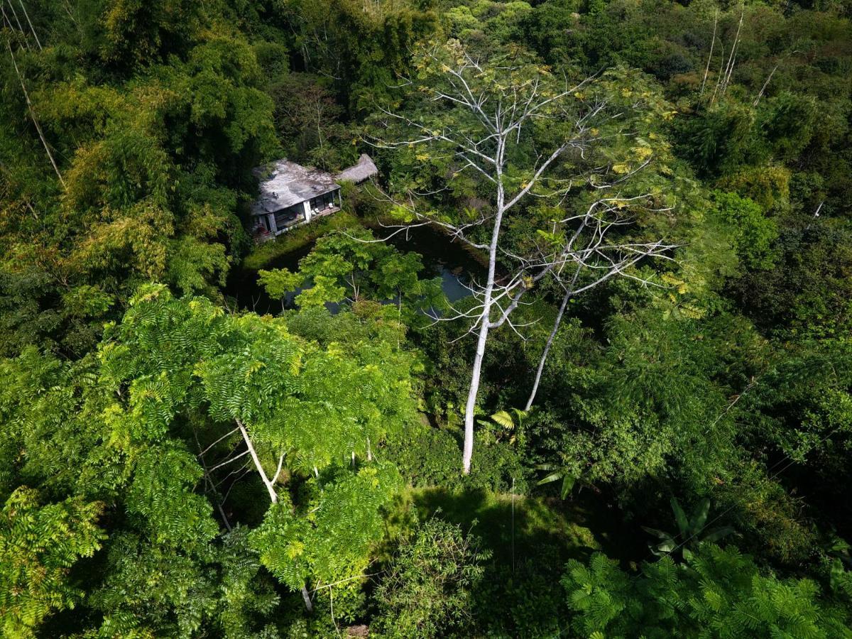 Cantalarana Lodge Mindo Zewnętrze zdjęcie