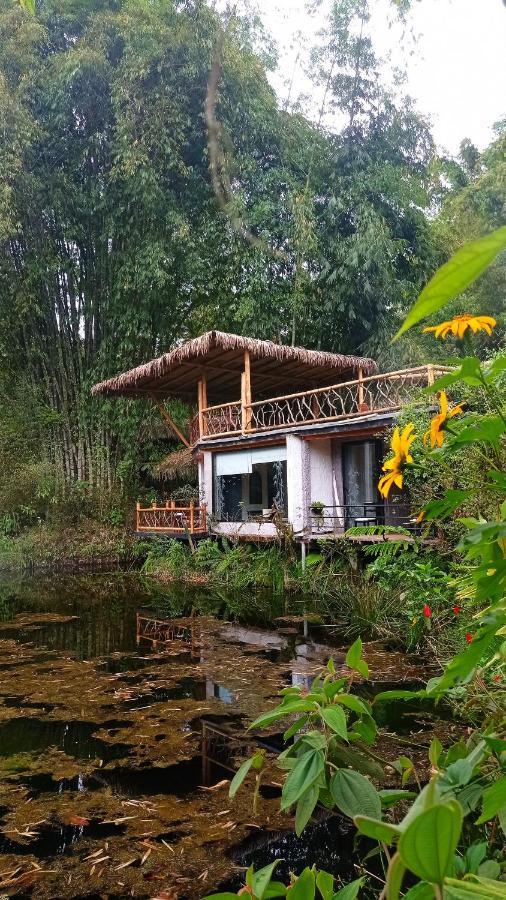 Cantalarana Lodge Mindo Zewnętrze zdjęcie