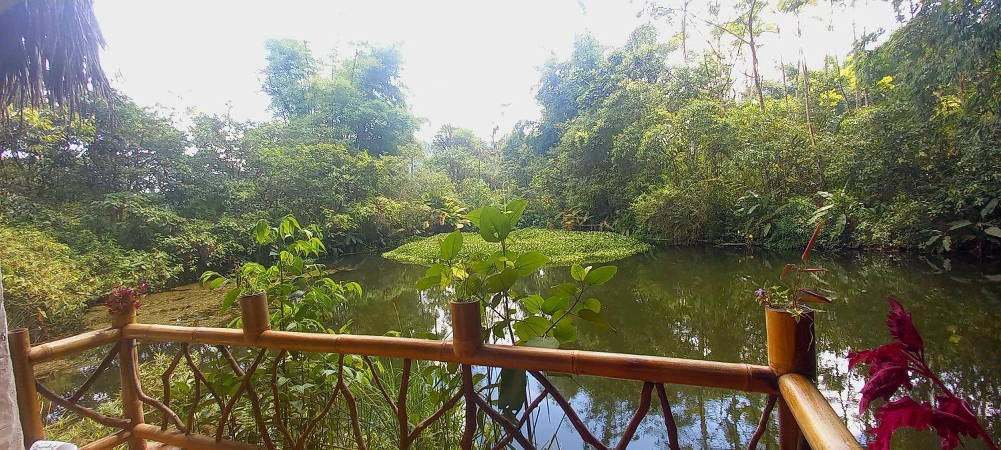 Cantalarana Lodge Mindo Zewnętrze zdjęcie