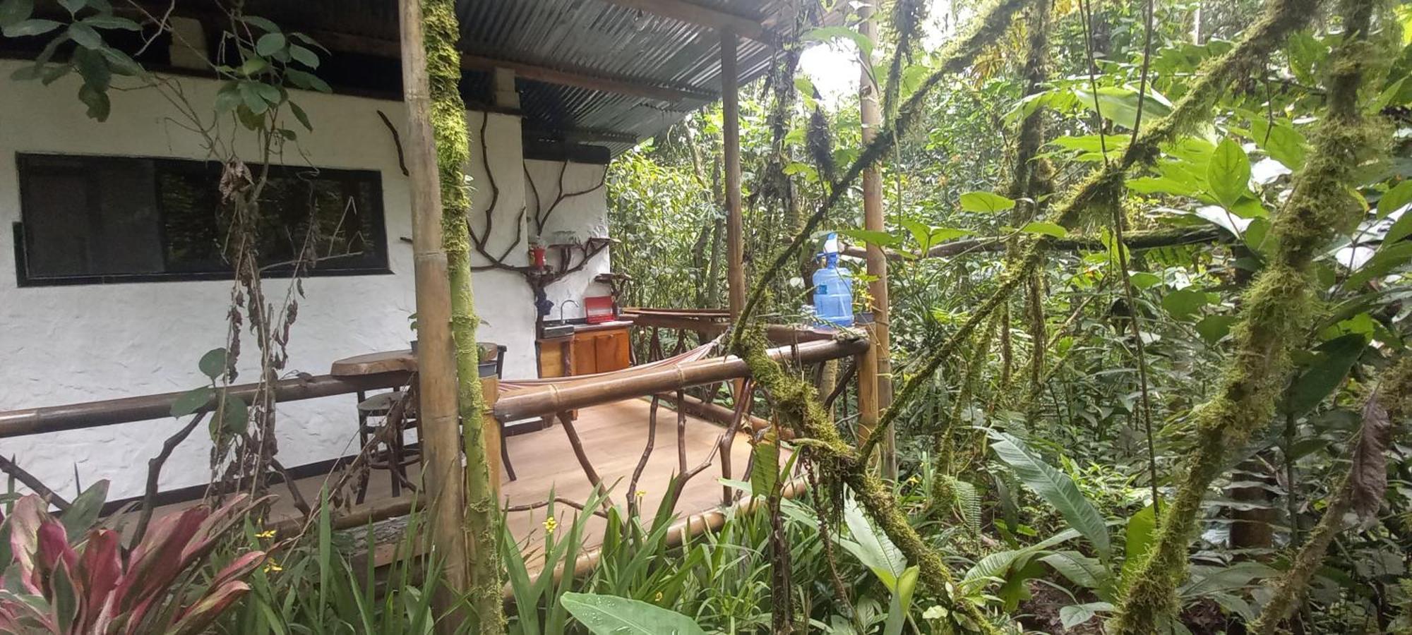Cantalarana Lodge Mindo Pokój zdjęcie